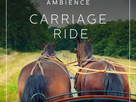 Ambience - Carriage ride Online Sale