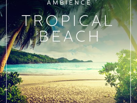 Ambience - Tropical beach Cheap