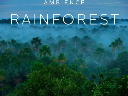 Ambience - Rainforest For Discount