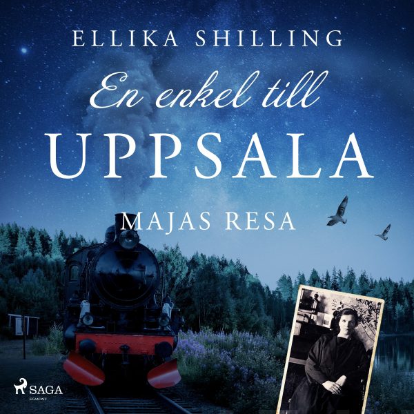 En enkel till Uppsala Online Sale